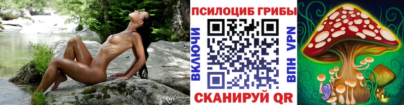 купить закладку  Порхов  Галлюциногенные грибы Psilocybe 